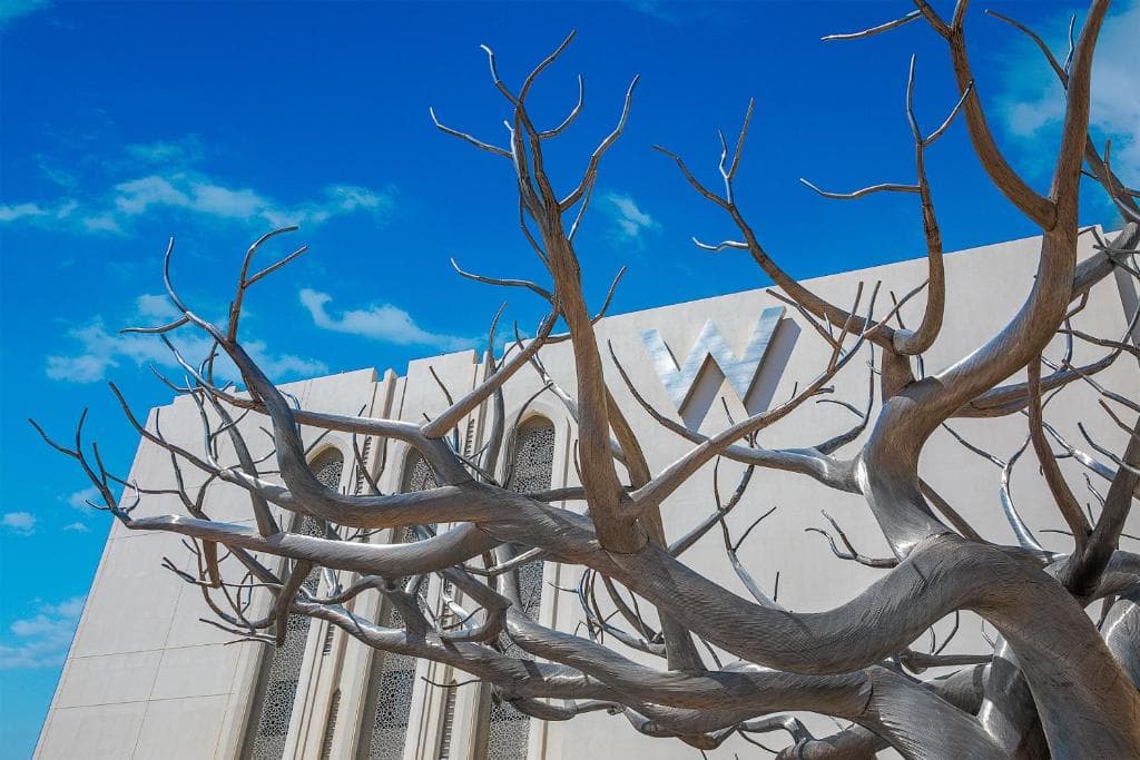 W Muscat extended gallery 9